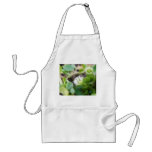 Chickweed (Stellaria media) Flowers aprons