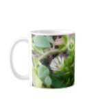 Chickweed (Stellaria media) Flowers mugs