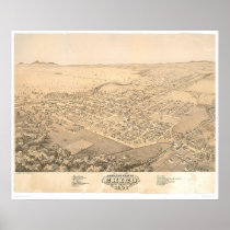 Chico, CA. Panoramic Map 1871 (0272A)