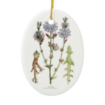 Chicory Botanical Ornament
