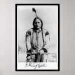 Chief Sitting Bull 1889 posters