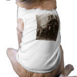 Chief Sitting Bull - Vintage pet clothing