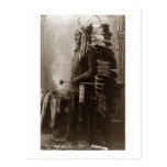 Chief Sitting Bull - Vintage Postcard