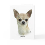 Chihuahua  9P93D-123_2 cards