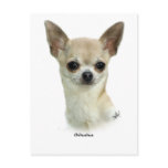 Chihuahua  9P93D-123_2 postcards