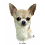 Chihuahua  9P93D-123_2 t-shirts