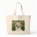 Chihuahua  9P93D-123 bags