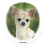 Chihuahua 9P93D-123 stickers
