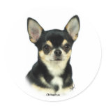 Chihuahua  9W092D-057 Stickers