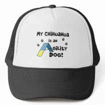 Chihuahua Agility Dog Hats