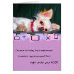 Chihuahua Birthday Greeting Card