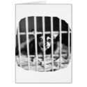 chihuahua Black and White Behind cage Bars cards