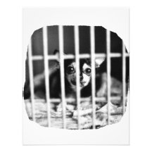 chihuahua Black and White Behind cage Bars Personalized Invite