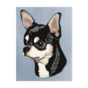 Chihuahua Black & Tan Postcard
