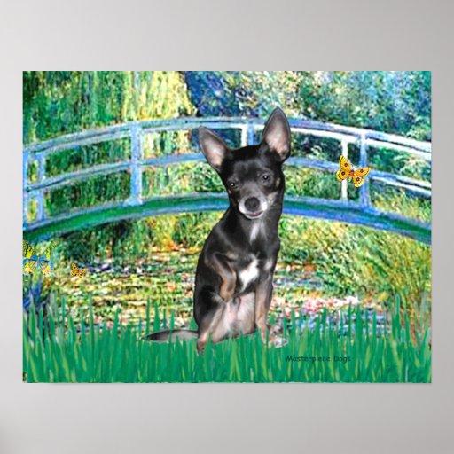 Chihuahua (blue-cream) - Lily PondBridge Poster
