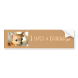 Chihuahua Bumper Sticker