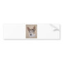 Chihuahua Bumper Sticker