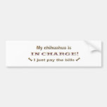 chihuahua bumper sticker