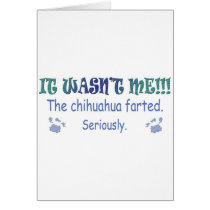 Chihuahua