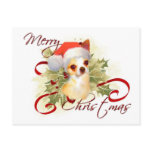 Chihuahua Christmas Postcard