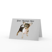 Chihuahua Cutie Greeting Card