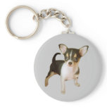 Chihuahua Cutie Keychain