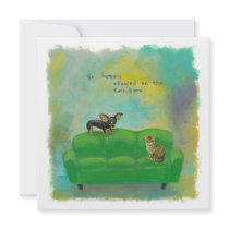 Chihuahua dog and cat on sofa fun original art