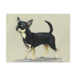 "Chihuahua" Dog Art Postcard