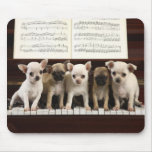 Chihuahua Dog Mouse Pads