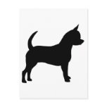 Chihuahua Dog postcards