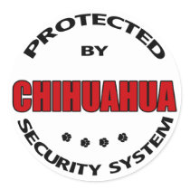 Chihuahua Dog Security Sticker
