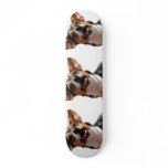 Chihuahua Dog Skateboard