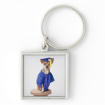 Chihuahua dog wearing graduation uniform, studio keychains