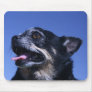 chihuahua face mouse pad