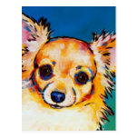 Chihuahua Fawn LC Post Cards