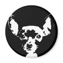 Chihuahua Gifts - Magnet