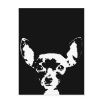 Chihuahua Gifts - Postcard