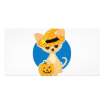 Chihuahua Halloween photo cards