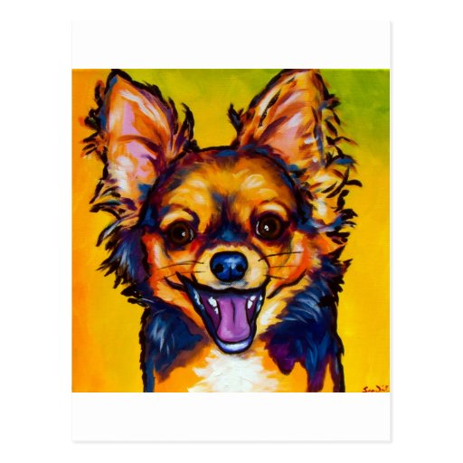 Chihuahua (long coat sable) post cards