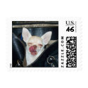 Chihuahua Meetup Logo postage