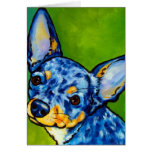 Chihuahua Merle 2 Greeting Card