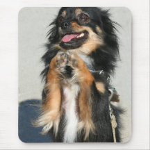 Chihuahua mousepad