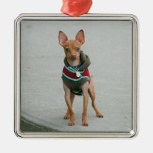 Chihuahua Ornament
