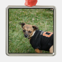 Chihuahua ornament