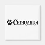 Chihuahua (pirate style w/ pawprint) magnet