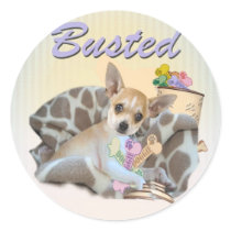 Chihuahua Posed with Cookie Jar