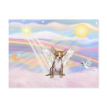 Chihuahua Post Cards