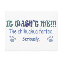 Chihuahua