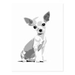 Chihuahua postcard