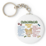 Chihuahua Property Laws 4